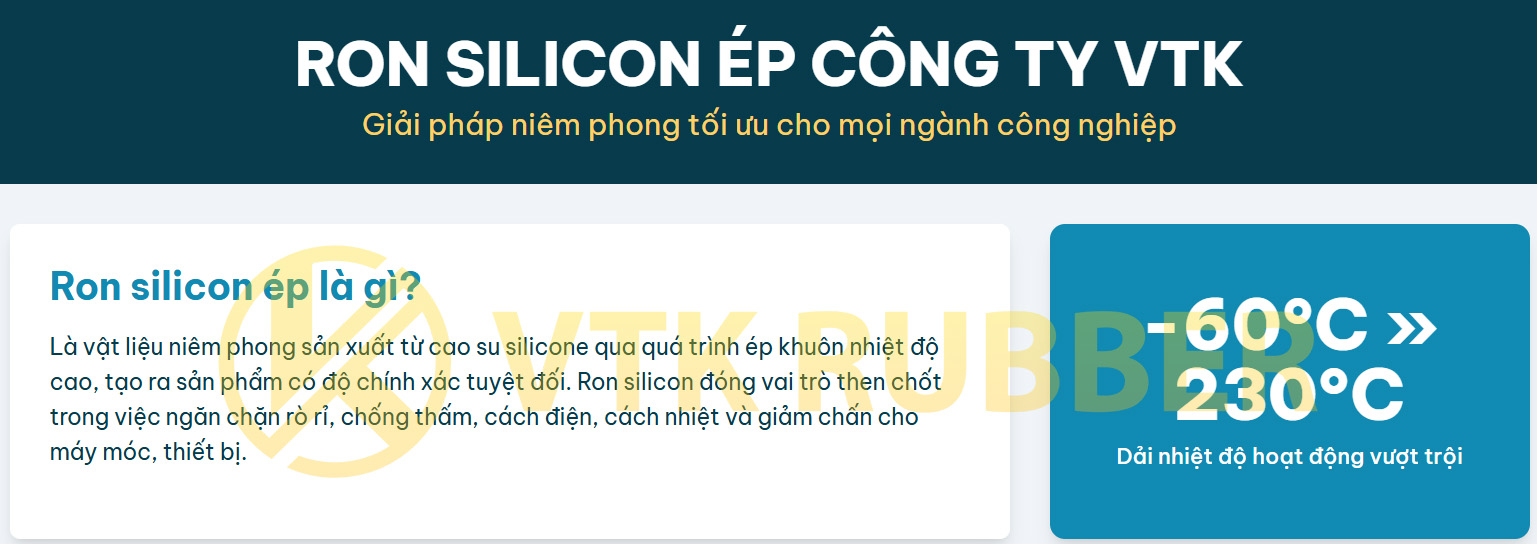 25 vtk ron silicon ep 01